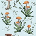 Mushrooms edible vegeterian organic mushrooming seamless pattern, illustration. boletus, aspen mushroom